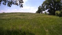 The field cam, Jun 1, 2023 at 10:45am