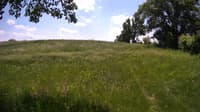 The field cam, Jun 1, 2023 at 10:50am
