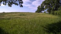 The field cam, Jun 2, 2023 at 6:34am