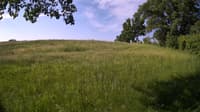 The field cam, Jun 2, 2023 at 6:38am