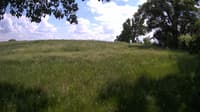 The field cam, Jun 2, 2023 at 12:30pm