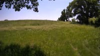 The field cam, Jun 3, 2023 at 11:26am
