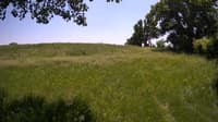 The field cam, Jun 3, 2023 at 11:35am