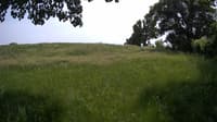The field cam, Jun 5, 2023 at 12:19pm