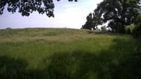 The field cam, Jun 5, 2023 at 12:51pm