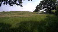 The field cam, Jun 5, 2023 at 12:54pm