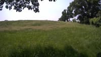 The field cam, Jun 6, 2023 at 9:38am