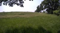 The field cam, Jun 6, 2023 at 9:38am