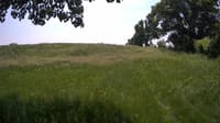 The field cam, Jun 6, 2023 at 10:46am
