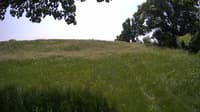 The field cam, Jun 6, 2023 at 10:52am