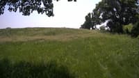 The field cam, Jun 6, 2023 at 11:07am