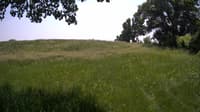 The field cam, Jun 6, 2023 at 11:10am