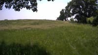 The field cam, Jun 6, 2023 at 11:13am