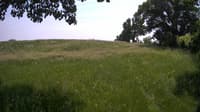 The field cam, Jun 6, 2023 at 11:53am