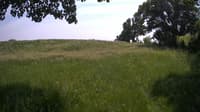 The field cam, Jun 6, 2023 at 12:07pm