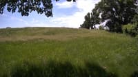 The field cam, Jun 7, 2023 at 9:40am