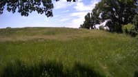 The field cam, Jun 7, 2023 at 10:09am