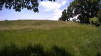 The field cam, Jun 7, 2023 at 10:16am