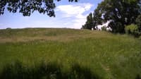 The field cam, Jun 7, 2023 at 10:18am