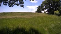 The field cam, Jun 7, 2023 at 10:25am