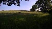 The field cam, Jun 8, 2023 at 3:31pm