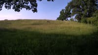 The field cam, Jun 9, 2023 at 5:59am