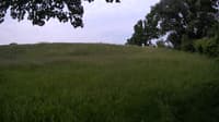 The field cam, Jun 9, 2023 at 7:14am