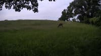 The field cam, Jun 9, 2023 at 7:30am