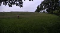 The field cam, Jun 9, 2023 at 7:31am