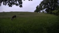 The field cam, Jun 9, 2023 at 7:32am