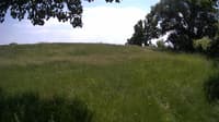 The field cam, Jun 9, 2023 at 11:43am