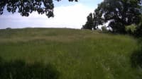 The field cam, Jun 9, 2023 at 11:46am