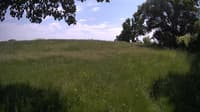 The field cam, Jun 9, 2023 at 12:08pm