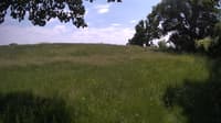 The field cam, Jun 9, 2023 at 12:09pm