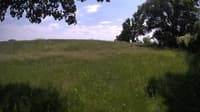 The field cam, Jun 9, 2023 at 12:10pm