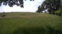 The field cam, Jun 10, 2023 at 8:52am