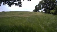 The field cam, Jun 10, 2023 at 10:39am