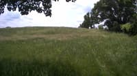The field cam, Jun 10, 2023 at 10:49am