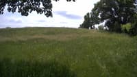 The field cam, Jun 10, 2023 at 11:02am