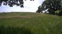 The field cam, Jun 10, 2023 at 11:08am