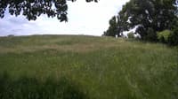 The field cam, Jun 10, 2023 at 11:21am