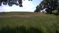The field cam, Jun 12, 2023 at 10:11am
