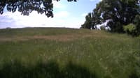 The field cam, Jun 12, 2023 at 10:20am
