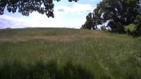 The field cam, Jun 12, 2023 at 10:28am