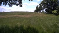 The field cam, Jun 12, 2023 at 10:28am