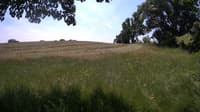 The field cam, Jun 13, 2023 at 10:27am