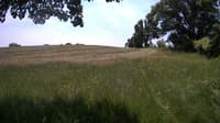 The field cam, Jun 13, 2023 at 10:38am