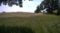 The field cam, Jun 13, 2023 at 10:52am