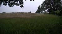 The field cam, Jun 14, 2023 at 12:47pm