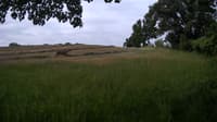 The field cam, Jun 15, 2023 at 7:26am